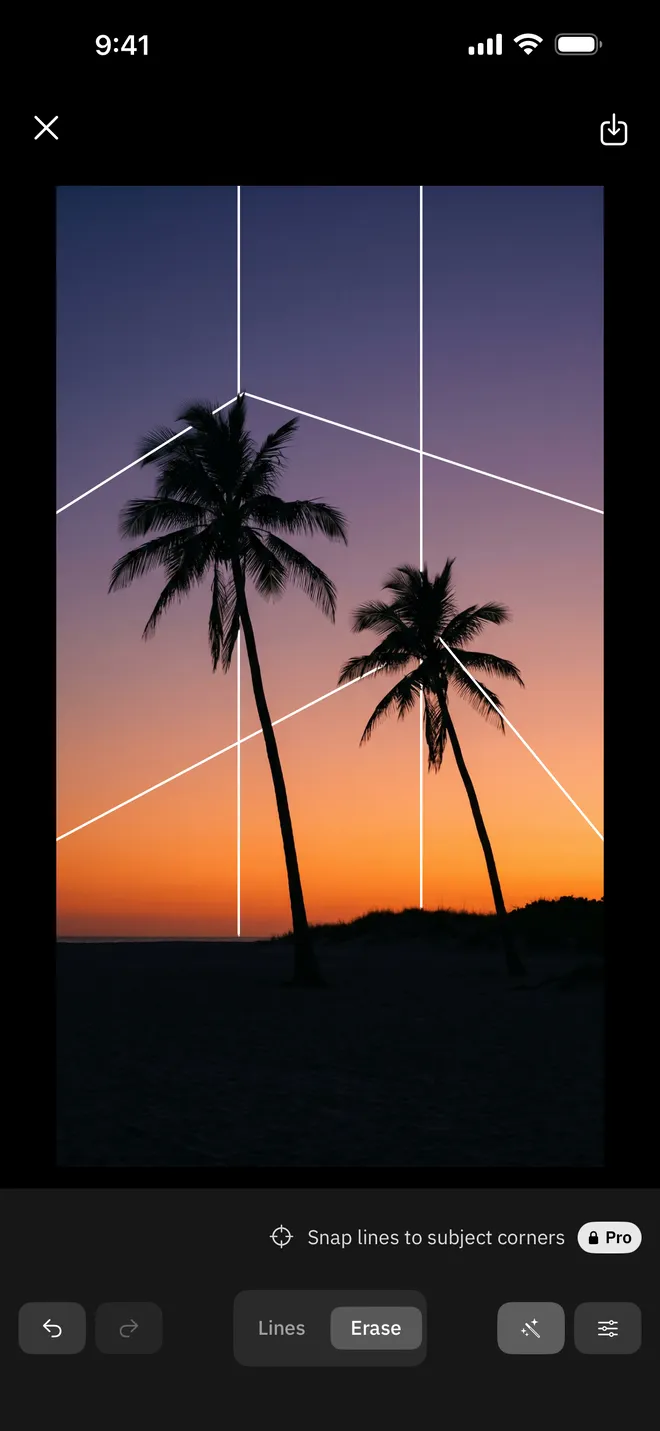 Close-up of palm trees at sunset. Bent grid lines pass behind the fronds.
